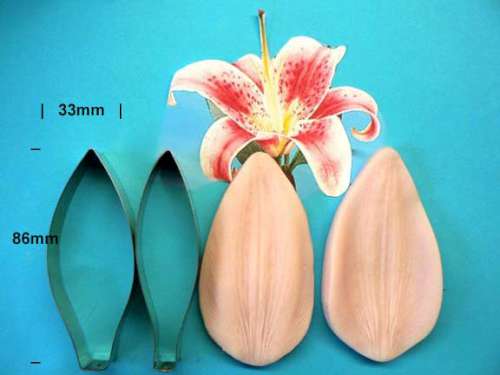 Oriental Lily Cutter and Veiner Set - Click Image to Close